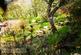 Additional image 23 of Church Road, Uppermill, Saddleworth, OL3