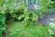 Additional image 14 of Lidgate Grove, Didsbury Village