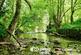Additional image 5 of Wonastow Mill, Mitchel Troy, Monmouth