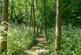 Additional image 23 of Old Birmingham Road, Lickey, B60