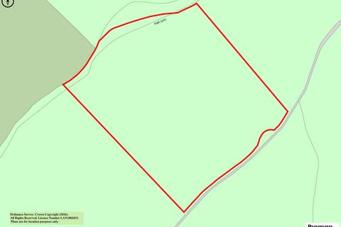 Land for sale, Laud Wood, Dunkirk, Faversham, Kent