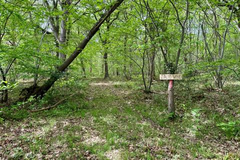 Land for sale, Laud Wood, Dunkirk, Faversham, Kent