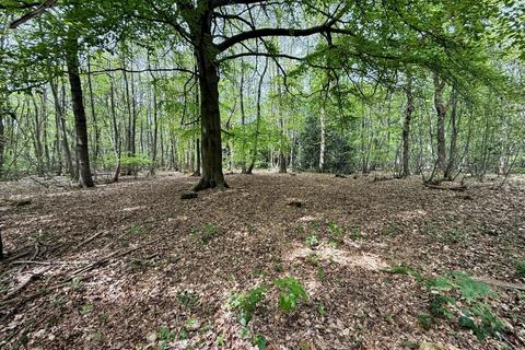 Land for sale, Laud Wood, Dunkirk, Faversham, Kent