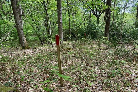 Land for sale, Laud Wood, Dunkirk, Faversham, Kent