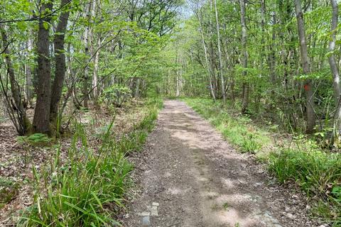 Land for sale, Laud Wood, Dunkirk, Faversham, Kent
