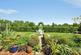 Additional image 29 of Bodiam, Robertsbridge, East Sussex, TN32