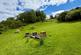 Additional image 34 of 5 Strone, Drumnadrochit, Inverness, IV63 6XL