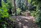 Additional image 14 of Ash Island, East Molesey KT8