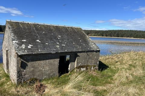 Woodland for sale, Craigdow Forest, Maybole KA19