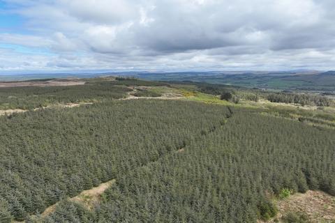 Woodland for sale, Craigdow Forest, Maybole KA19