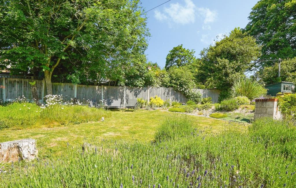 Garden view, garden