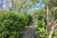 Additional image 4 of The Cliff Path, Bonchurch, Ventnor, Isle of Wight