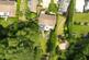 Additional image 12 of Beech Hill Road, Headley, Bordon, Hampshire, GU35