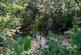 Additional image 62 of Forest Road, Newport