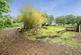Additional image 15 of Sutton Bingham, Yeovil, Somerset, BA22