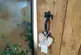 Additional image 14 of Springfield Cottage, Quarry Road, Laxey