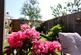 Additional image 17 of Sanderling Close, Barnstaple, Devon