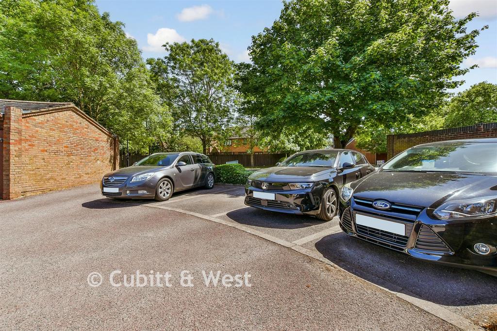 Driveway/Parking