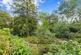 Additional image 12 of APPROXIMATELY 2.75 ACRES OF BEAUTIFUL WOODLAND