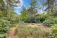 Additional image 14 of APPROXIMATELY 2.75 ACRES OF BEAUTIFUL WOODLAND