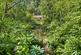Additional image 4 of APPROXIMATELY 2.75 ACRES OF BEAUTIFUL WOODLAND
