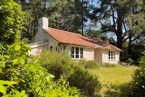 2 bedroom bungalow for sale, APPROXIMATELY 2.75 ACRES OF BEAUTIFUL WOODLAND