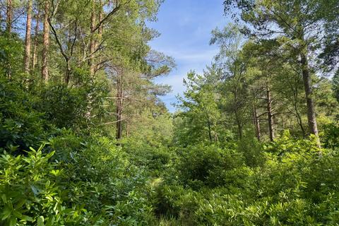 2 bedroom bungalow for sale, APPROXIMATELY 2.75 ACRES OF BEAUTIFUL WOODLAND