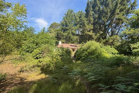 2 bedroom bungalow for sale, APPROXIMATELY 2.75 ACRES OF BEAUTIFUL WOODLAND