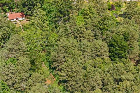 2 bedroom bungalow for sale, APPROXIMATELY 2.75 ACRES OF BEAUTIFUL WOODLAND
