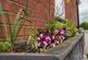 Additional image 32 of Wistaston, Crewe, Cheshire, CW2