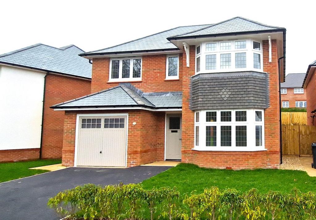 3 bedroom house to rent