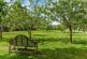 Additional image 11 of South Zeal, Okehampton