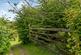 Additional image 43 of South Zeal, Okehampton