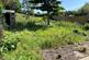 Additional image 2 of Allotment Road, Niton, Ventnor