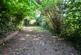 Additional image 4 of 'Fox Cottage' Carrington Road, Flixton, M41