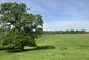 North Rode, Congleton CW12 photo 5