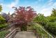 Additional image 16 of Herbert Street, Hemel Hempstead, HP2