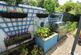 Additional image 35 of Bitteswell Road, Lutterworth LE17