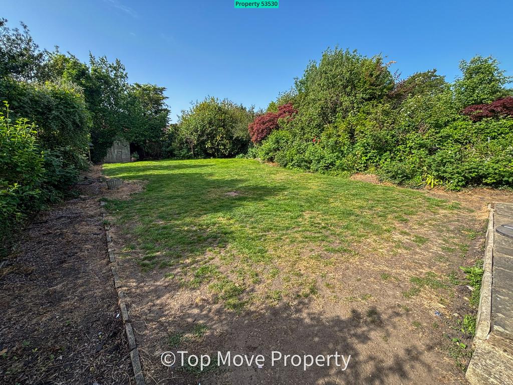 Garden view, garden
