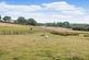 Additional image 21 of 2 Barton Cottages, Throwleigh, Okehampton, Devon, EX20