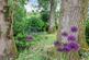 Additional image 18 of Roundwood Rucklers Lane, Kings Langley, WD4