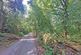 Additional image 3 of Bury Road, Rawtenstall, Rossendale