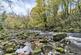 Additional image 21 of Ganllwyd, LL40 2HY