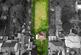 Additional image 9 of Winfield Avenue, Brighton, BN1