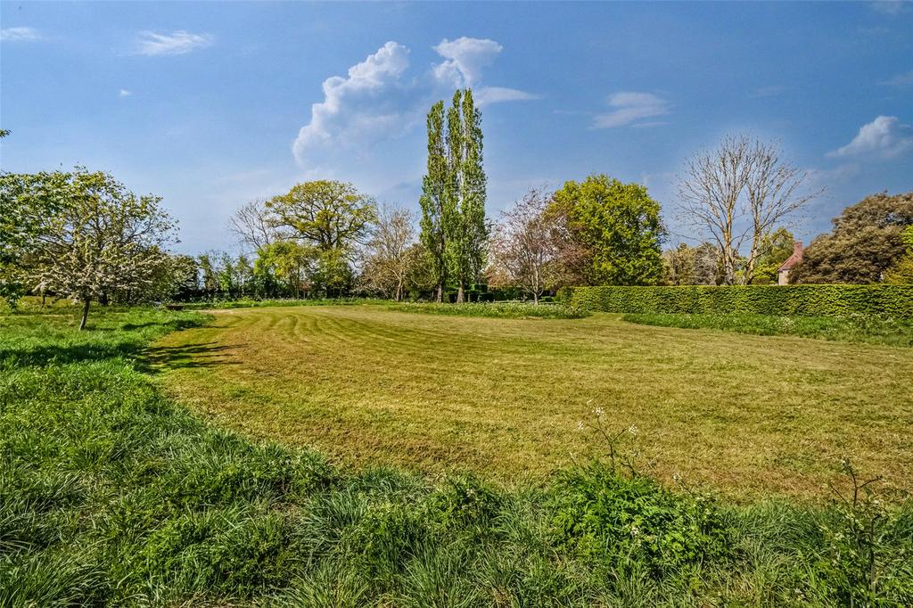 Meadow