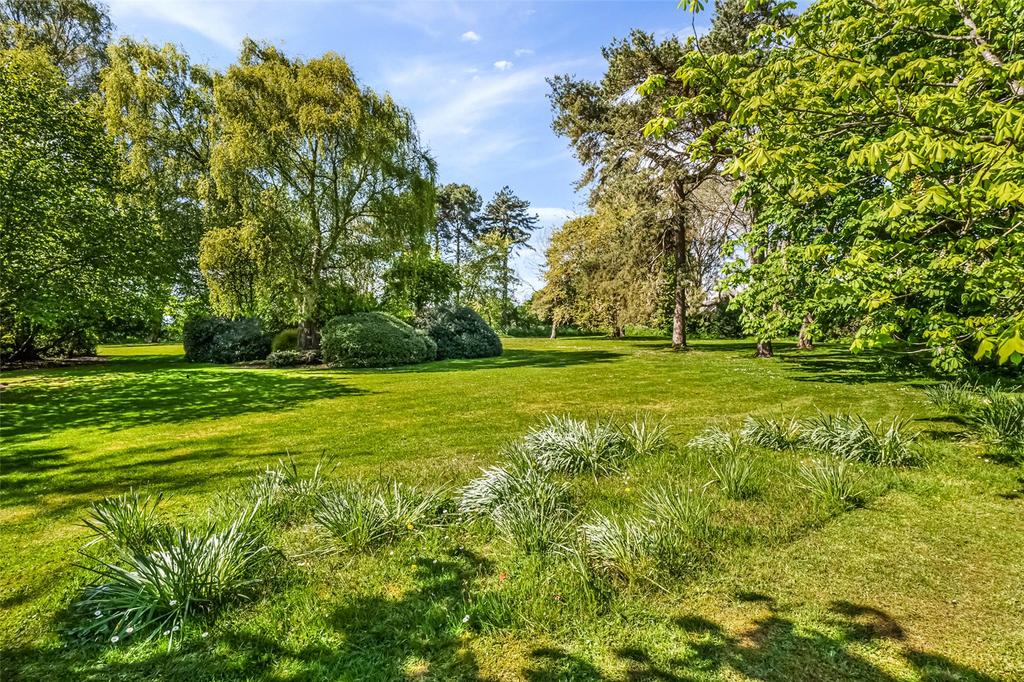 Grounds