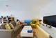 Paddington – 2 Bedrooms Flat photo 2