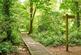 Additional image 18 of The Green, Bolley Avenue, Bordon, GU35