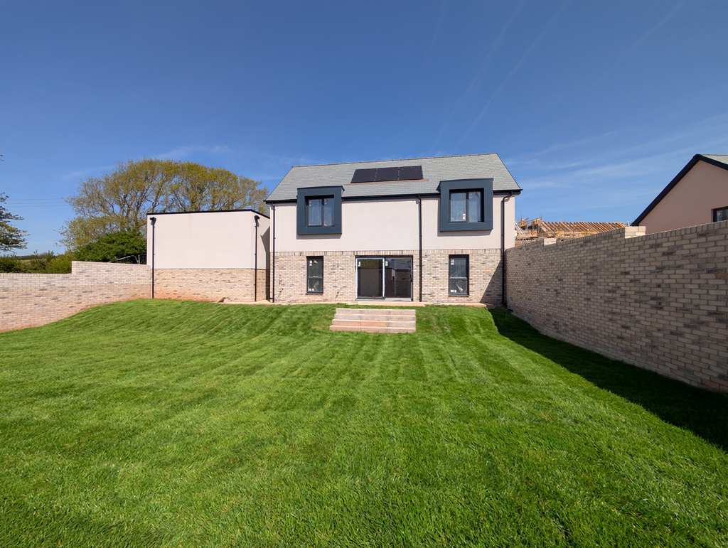 Plot 8 grass2