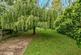Additional image 16 of Windsor Road, Datchet, SL3